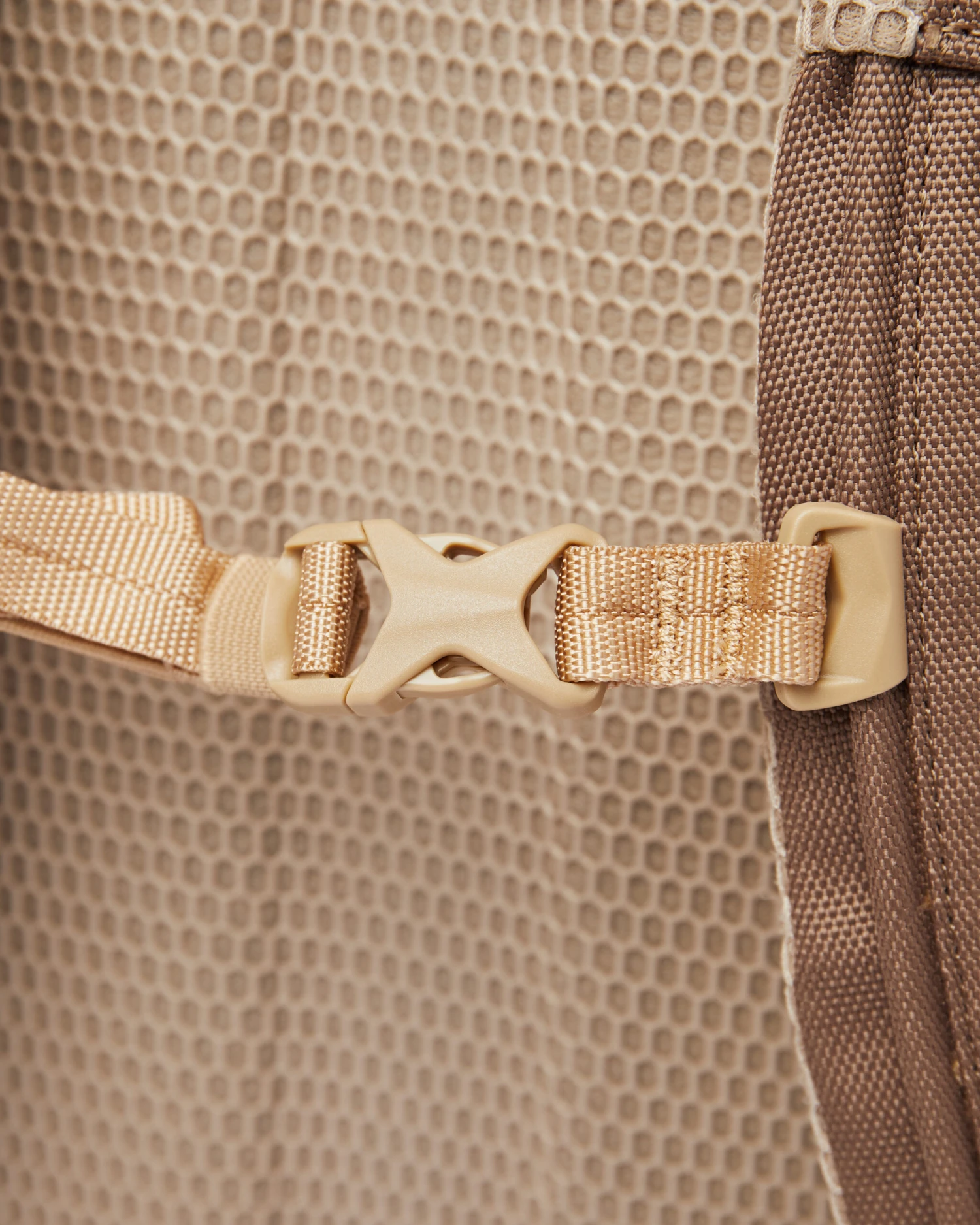 Sandqvist Walter Brown 2 Sandqvist Walter Brown - Image 2